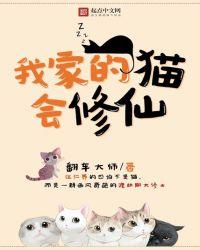 我家的猫会修仙